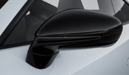 ミラーカバーカラーチェンジ